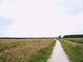 On the Zevenwoudenpad hiking trail