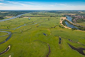 Polderwiesen zwischen Krajnik Dolny (links) und Schwedt (rechts)