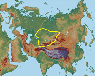 <span class="mw-page-title-main">Andronovo culture</span> Group of Bronze Age cultures, 2000–900 BC