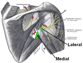 <span class="mw-page-title-main">Quadrangular space</span>