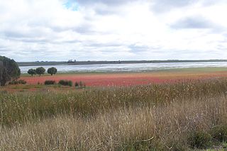 <span class="mw-page-title-main">Bool Lagoon Game Reserve</span> Protected area in South Australia