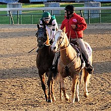 Accelerate returning to the winner's circle DSC 3478Accelerate.jpg