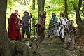 Image 8A fantasy LARP group (from Role-playing game)