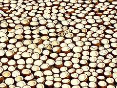 Séchage des noix de coco coupées (Kérala)