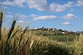 Wheat fields in valley