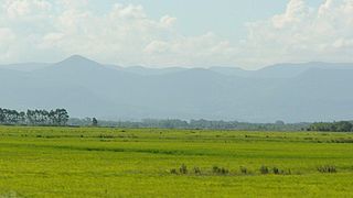 <span class="mw-page-title-main">Pampas</span> South American lowlands