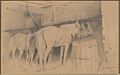 Konie w stajni (Horses in a stable), drawing, ca 1875 (sic![33]) (National Museum in Warsaw)