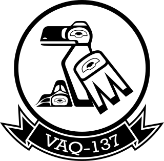 <span class="mw-page-title-main">VAQ-137</span> Military unit