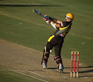 <span class="mw-page-title-main">Ashley Noffke</span> Australian cricketer