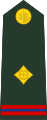 Warrant officer (Bengali: ওয়ারেন্ট অফিসার, romanized: Ōẏārēnṭa aphisāra) (Bangladesh Army)[43]