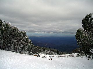 <span class="mw-page-title-main">Mount Baw Baw</span> Mountain in Victoria, Australia