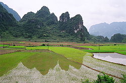 Provincia di Cao Bang