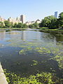 03. Harlem Meer