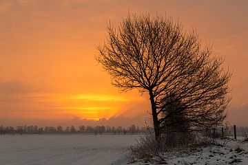 Dülmen, North Rhine-Westphalia, Germany