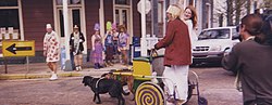 Dog cart during Mardi Gras in New Orleans DogChar2.jpg