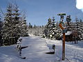 Deutschland, Thüringer Wald, Winter