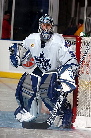 <span class="mw-page-title-main">Jean-Sébastien Aubin</span> Canadian ice hockey player (born 1977)