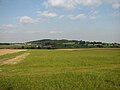 Kemmelberg, seen from the west