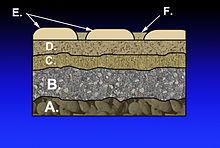 Layers in the construction of a mortarless pavement: A) Subgrade B) Subbase C) Base course D) Paver base E) Pavers F) Fine-grained sand MortarlessPavement.jpg