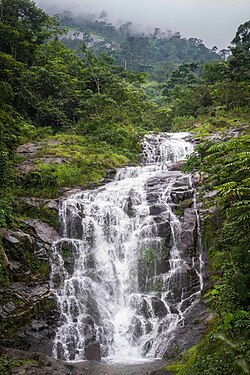 Afi Mountain Wildlife Sanctuary in Cross River state is protected by Rangers of the Forestry Commission, and supported by Wildlife Conservation Society in Nigeria. The forest is home to the endangered Cross River gorilla and Nigeria-Cameroun chimpanzee, drill monkeys, etc. The landscape is dotted with amazing views and spectacular waterfalls. Photo by Dotun55