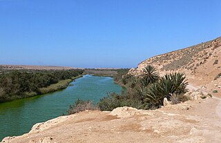 <span class="mw-page-title-main">North Saharan steppe and woodlands</span> Ecoregion in North Africa