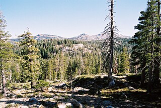 <span class="mw-page-title-main">Sierra Nevada subalpine zone</span>