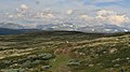 Der Pilgrimsleden mit der Snøhetta im Hintergrund