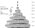 Pisipilt versioonist seisuga 7. november 2011, kell 13:42