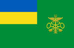 Tullväsendets flagga