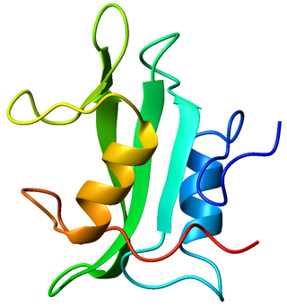 <span class="mw-page-title-main">Tyrosin-protein kinase Lck</span> Lymphocyte protein