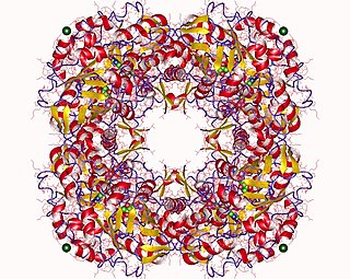 <span class="mw-page-title-main">Isopentenyl-diphosphate delta isomerase</span> Class of enzymes