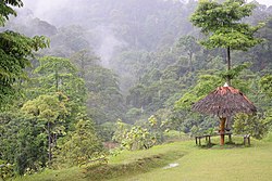 Taman Nasional Bukit Tiga Puluh