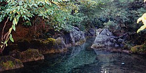 Cloud forest stream in El Cielo Biosphere Reserve (August 2004)