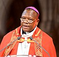 Cardinal Fridolin Ambongo Besungu