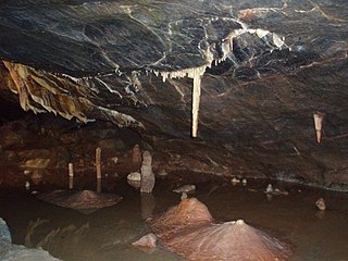 Goughs Cave Cave and archaeological site in the United Kingdom