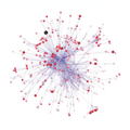 Image 36A food web is network of food chains, and as such can be represented graphically and analysed using techniques from network theory. (from Marine food web)