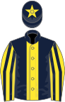 Dark blue, yellow stripe, yellow and dark blue striped sleeves, dark blue cap, yellow star