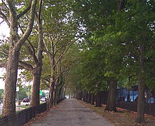 Riverside Park walkway.jpg