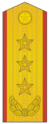 上将