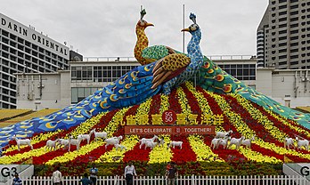 Représentation de deux paons, lors des célébrations du nouvel an chinois 2015 à Marina Bay (Singapour). (définition réelle 5 361 × 3 198)