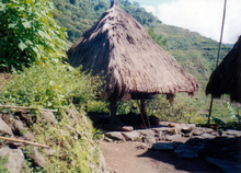 In an outdoor clearing a structure dominated by a thatched brown-colored nipa roof stands slightly elevated from stone base abutting packed earth.