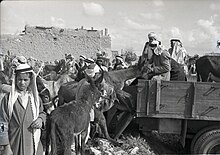 פינוי הכפר בעת מלחמת העצמאות. פברואר 1949, בנו רותנברג, אוסף מיתר, הספרייה הלאומית