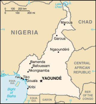 <span class="mw-page-title-main">Cameroon–Nigeria border</span> International border