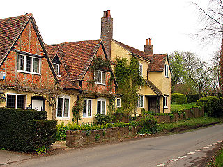 <span class="mw-page-title-main">Farnborough, Berkshire</span> Village in England