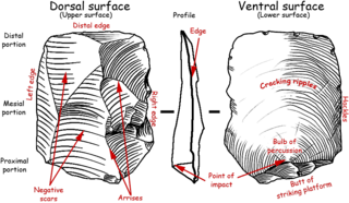 <span class="mw-page-title-main">Lithic flake</span> Portion of rock removed from an objective piece by percussion or pressure