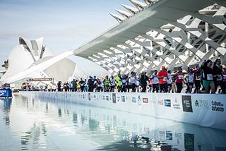 <span class="mw-page-title-main">Valencia Marathon</span> Annual race in Spain held since 1981