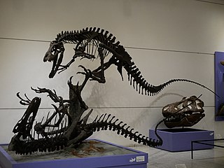 <i>Dryptosaurus</i> Extinct genus of reptiles