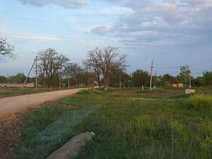 В'їзд в Новоандріївку