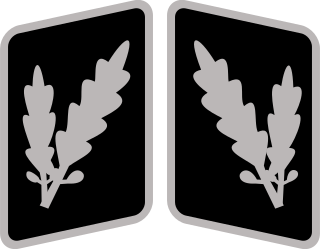 <i>Oberführer</i> Officers rank in the Schutzstaffel (SS)