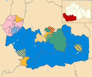 <span class="mw-page-title-main">2019 Waverley Borough Council election</span>